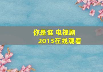 你是谁 电视剧 2013在线观看